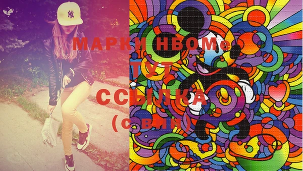 ГАЛЛЮЦИНОГЕННЫЕ ГРИБЫ Каменка