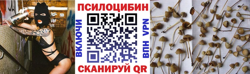 Галлюциногенные грибы GOLDEN TEACHER  Купить закладки  Евпатория 
